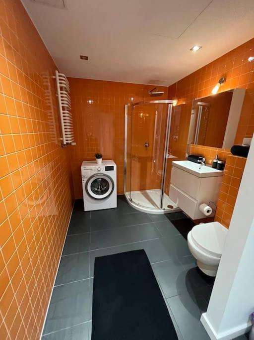 New Apartment Old Town -6 People - 200M Town Hall Breslau Exterior foto